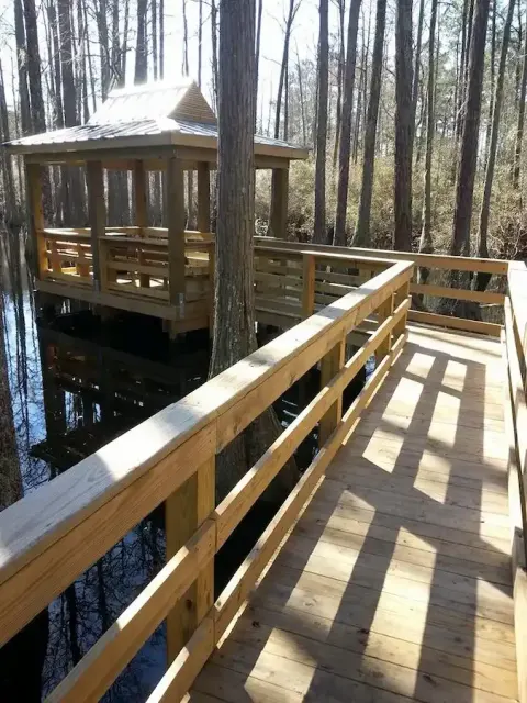 Timber walkway turning toward a covered pier among cypress trees at The Park at Prince Creek